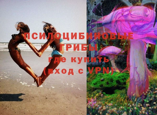 2c-b Михайловка
