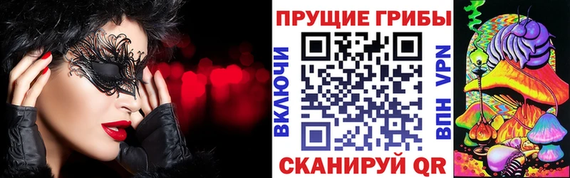 как найти закладки  Венёв  Галлюциногенные грибы ЛСД 